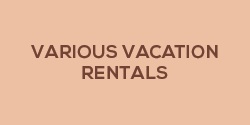 Amenities-01